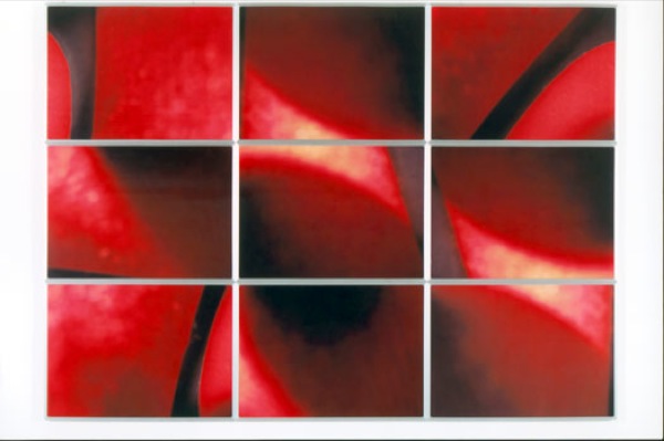  o.T. | 9-teilige Fotoarbeit, je 50 x 70 cm | Leuchtrahmen mit Blitzlichtschaltung | 2005